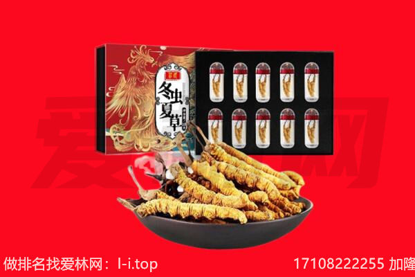 顺义区回收虫草.jpg